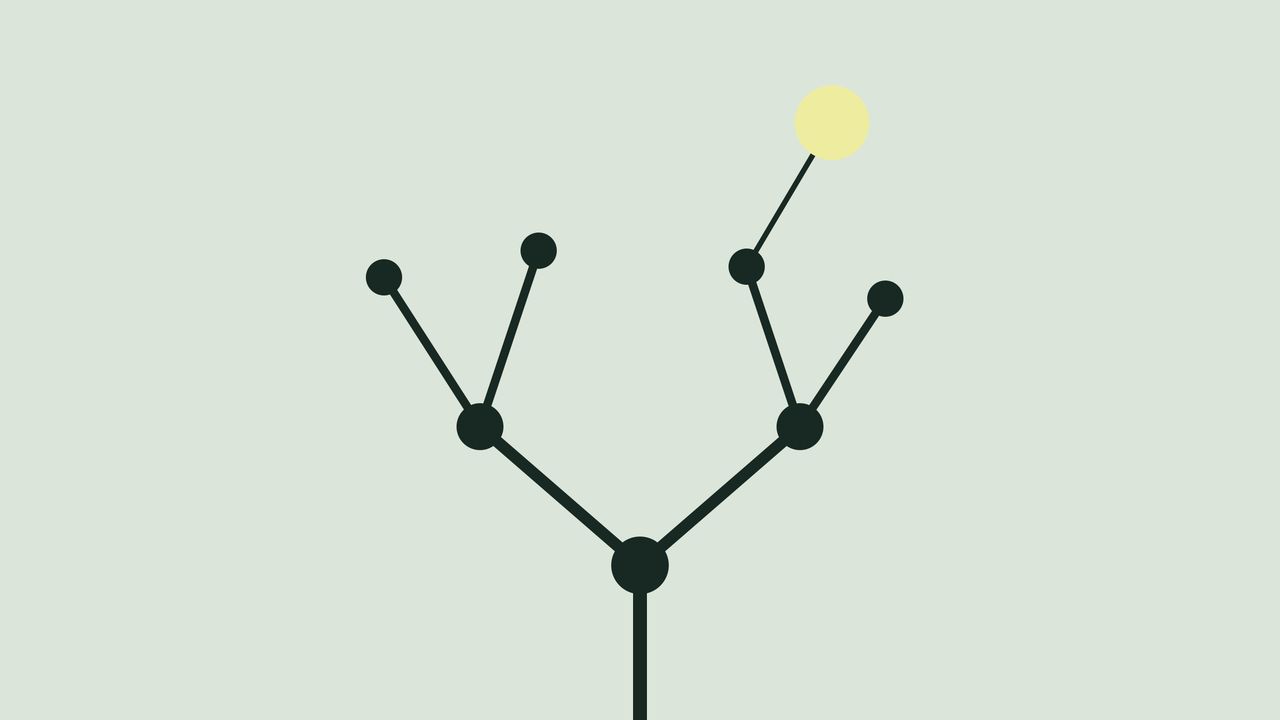 A dark tree of branches and nodes, with its newest, thinnest branch ending in a yellow ball.